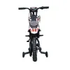 Mini Cross Thor Elettrico 500W 36V 12Ah - Vista Posteriore