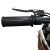 Mini Cross Thor Elettrico 500W 36V 12Ah - Dettagli