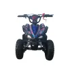 Mini Quad Mini Monster 50 Pull - Vista Frontale
