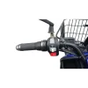 Tricargo Maxi Delivery - Dettagli