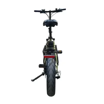Fat E-Bike Pieghevole NCX Zero Italy Advance 20" 250W 48V 13Ah - Colore Verde-Oro - Vista Posteriore