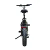 Fat E-Bike Pieghevole NCX Zero Italy Advance 20" 250W 48V 13Ah - Colore Verde-Oro - Vista Posteriore