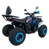 Maxi Quad Angry ST 200 4T R10 - Vista 45° Posteriore
