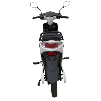 Scooter Zix 48V 22Ah - Posteriore