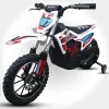 Mini Cross Thor Elettrico 500W 36V 12Ah