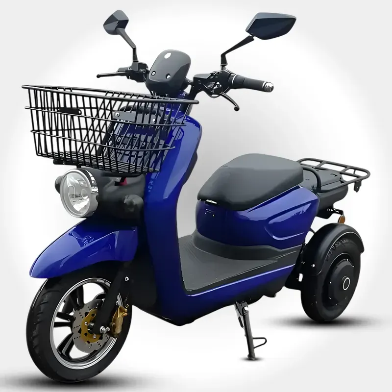 Tricargo Maxi Delivery