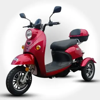 Triscoot 3 Ruote 650w 60V