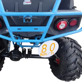 Buggy Runway 400 R12 L7E-B2 - Dettagli