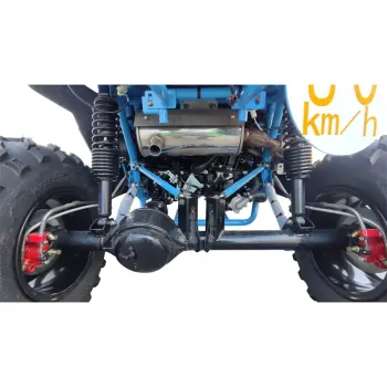 Buggy Runway 400 R12 L7E-B2 - Dettagli