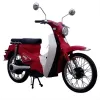 Cucciolotto - Vista 45° Frontale