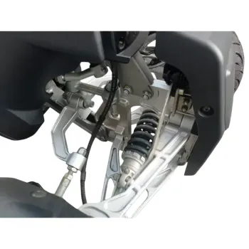 Steady 2000W 72V - Targabile - Dettagli