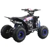 Quad Furious Six 125cc R6 Automatico + Retro - Colore Nero/Blu - Vista 45° Posteriore