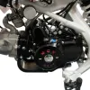 Motore 125cc Avviamento Elettrico SPECIAL EDITION