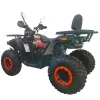 Maxi Quad Mega Angry 250 LIMITED EDITION - Vista 45° Posteriore