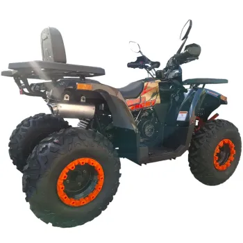 Maxi Quad Mega Angry 250 LIMITED EDITION - Vista 45° Posteriore