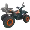 Maxi Quad Mega Angry 250 LIMITED EDITION - Vista 45° Posteriore
