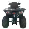 Maxi Quad Mega Angry 250 LIMITED EDITION - Vista Posteriore
