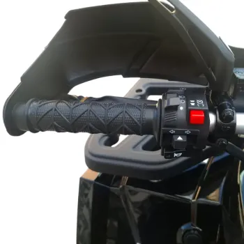 Maxi Quad Mega Angry 250 LIMITED EDITION - Dettagli