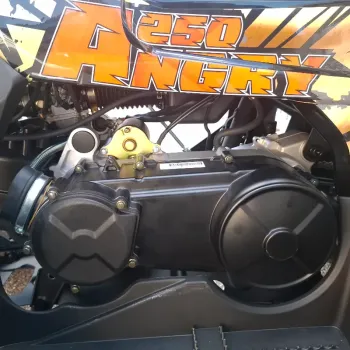 Maxi Quad Mega Angry 250 LIMITED EDITION - Dettagli