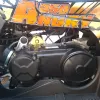 Maxi Quad Mega Angry 250 LIMITED EDITION - Dettagli