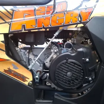 Maxi Quad Mega Angry 250 LIMITED EDITION - Dettagli