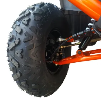 Maxi Quad Mega Angry 250 LIMITED EDITION - Dettagli