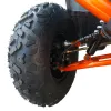 Maxi Quad Mega Angry 250 LIMITED EDITION - Dettagli