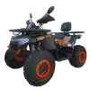 Maxi Quad Mega Angry 250 LIMITED EDITION - Vista 45° Frontale