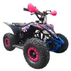 Mini Quad Furious Titan 50 2T R6 - Vista 45° Frontale