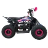 Mini Quad Furious Titan 50 2T R6 - Vista 45° Laterale