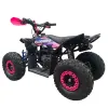 Mini Quad Furious Titan 50 2T R6 - Vista 45° Posteriore