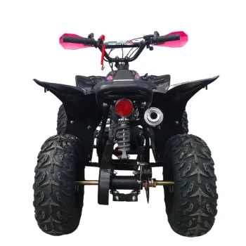 Mini Quad Furious Titan 50 2T R6 - Vista Posteriore