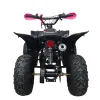 Mini Quad Furious Titan 50 2T R6 - Vista Posteriore