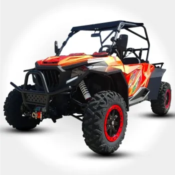 Buggy FX 800 4T Sound Beat Special Edition Targabile T1b