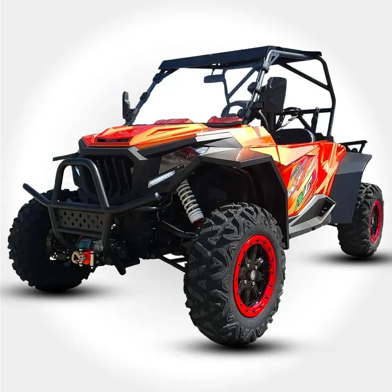 Buggy FX 800 4T Sound Beat Special Edition Targabile T1b