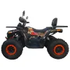 Maxi Quad Mega Angry 250 LIMITED EDITION - Vista 45° Laterale