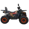 Maxi Quad Mega Angry 250 LIMITED EDITION - Vista 45° Laterale