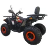 Maxi Quad Mega Angry 250 LIMITED EDITION - Vista 45° Posteriore