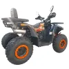 Maxi Quad Mega Angry 250 LIMITED EDITION - Vista 45° Posteriore