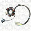 Statore 6 Bobine Motori 4T YX - Lifan - Vari per Quad e Pitbike