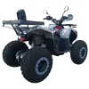 Maxi Quad Mega Bloody Angry Limited Edition 250 TR 4T R10 - Vista 45° Posteriore