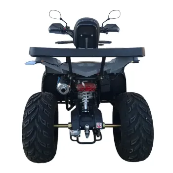 Maxi Quad Mega Bloody Angry Limited Edition 250 TR 4T R10 - Vista Posteriore