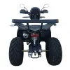 Maxi Quad Mega Bloody Angry Limited Edition 250 TR 4T R10 - Vista Posteriore