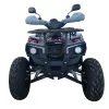 Maxi Quad Mega Bloody Angry Limited Edition 250 TR 4T R10 - Vista Frontale