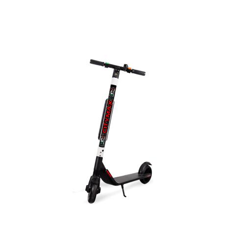 CITYMOVE MAX BY SEGWAY
