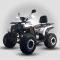 ANGRY ST 200